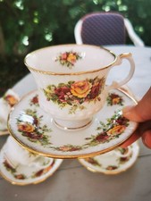 Elizabethan English Garden - 6