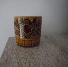 Royal Worcester Vintage 1970's  Palissy "Sierra" Pattern Spice Jar