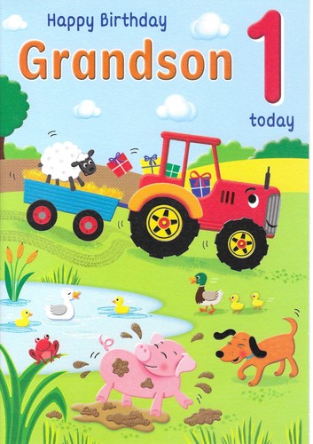 Grandson 1st age happy - 1st,