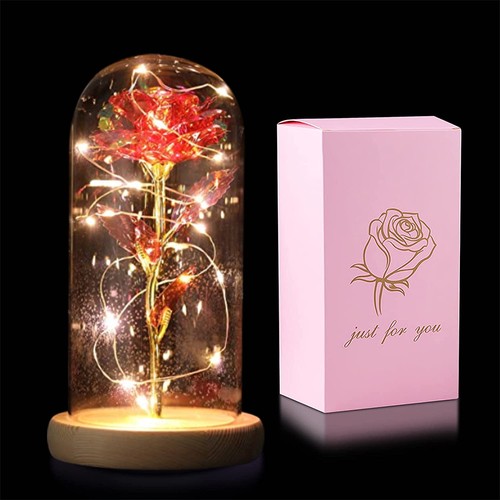 New red rose - new, dome