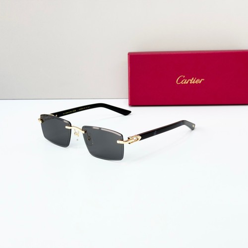 Cartier ct0582s gold frame - cartier,