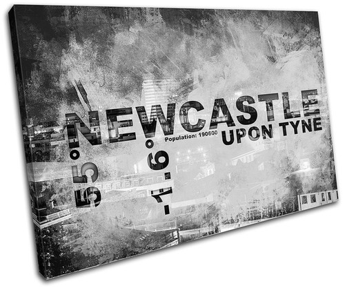 Newcastle england city - england,