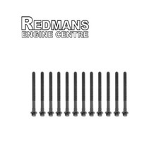 Head Bolt Set fits FORD Focus