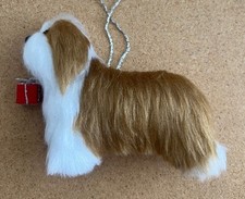 BEARDED COLLIE with CHRISTMAS