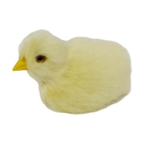 Realistic chick decoration - realistic,