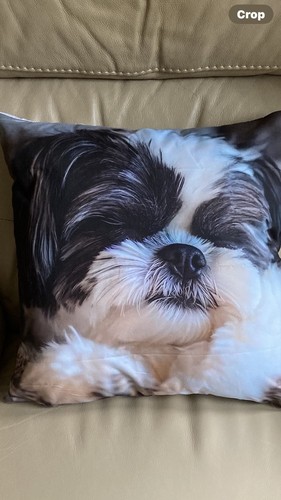 Shitzu dog with zip cushion - dog,