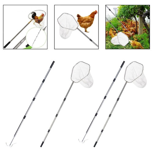 Poultry net chicken catcher - poultry, net,