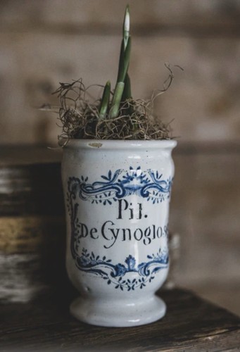 Antique apothecary jar - apothecary, french