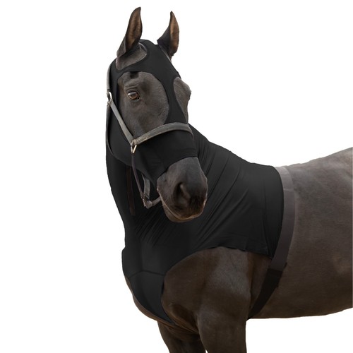 Premium horse hood pullon - pullon, with