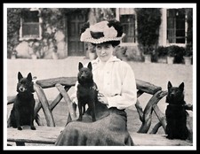 SCHIPPERKE LADY AND HER DOGS