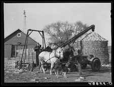 Grundy County Iowa 1939 Corn