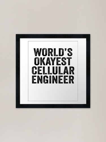 World okayest building - world's,