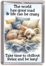 Chinese Crested Dog Fridge