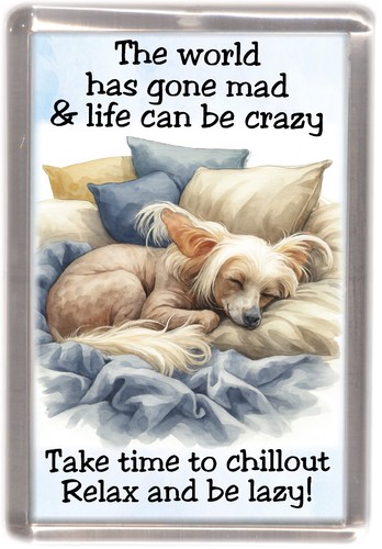 Chinese crested dog fridge - chinese,