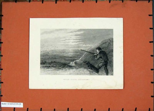 Original old antique - antique, print