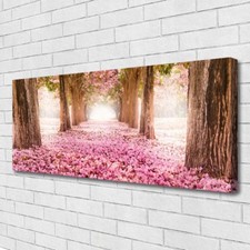 Canvas print Wall art on 125x50 Image Picture Footpath Tree Trunks Nature