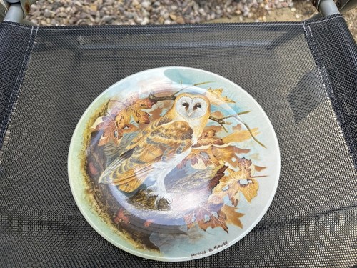 Coalport collector display - coalport,