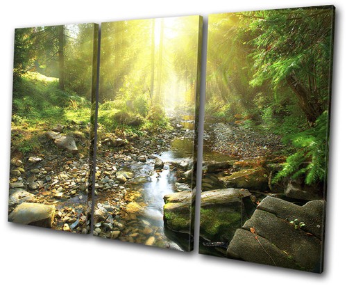 Woodland river stream forest - stream,