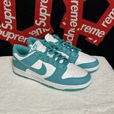 Nike Dunk Low Next Nature Dusty Cactus White WMNS Sizes 11 DD1873-105 BRAND NEW