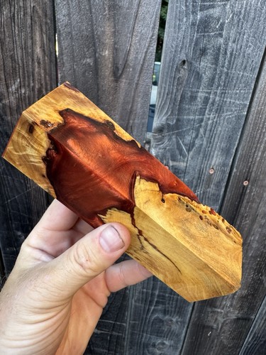 Stabilized buckeye burl hybrid - stabilized,