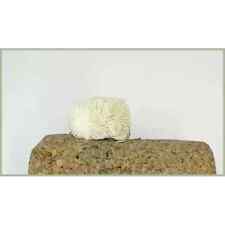 BARBLESS Bread Fishing Fly, 4