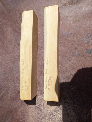 English boxwood spindle - boxwood,
