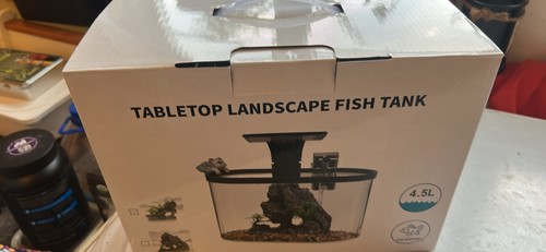 Table top fish tank - fish, with
