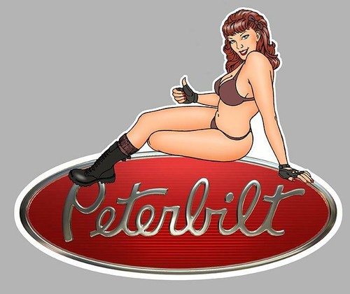 Peterbilt left pin - pin, up