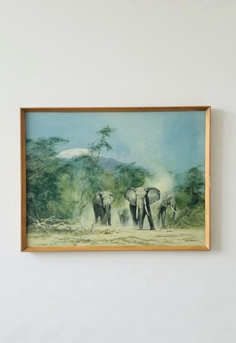 Vintage david shepherd - ​vintage,