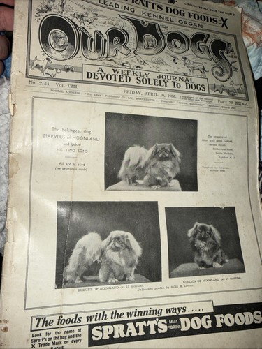 Vintage our dogs magazine 1936 - vintage,