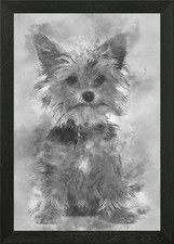 Yorkshire terrier puppy si
