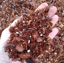 Monstera soil mix for - soil, aroids