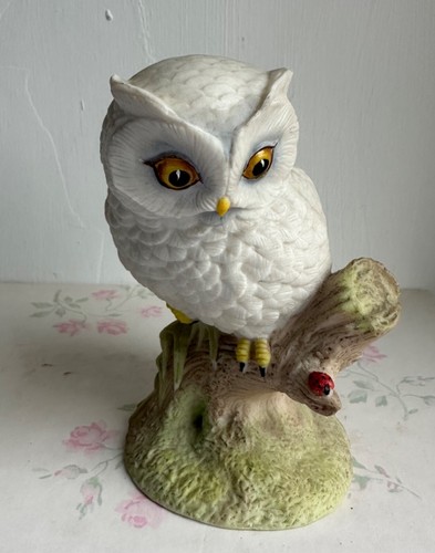 Vintage aynsley little owl - vintage,