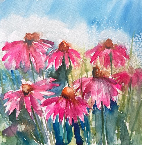 Pink coneflower watercolour - pink,