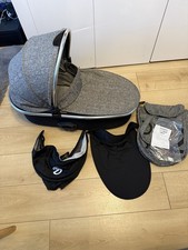 Baby style Oyster Gem, Oyster