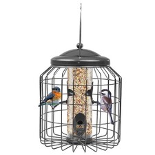 Squirrel proof hanging bird - proof,