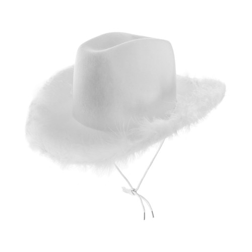 Texan cowboy hat - hat, west