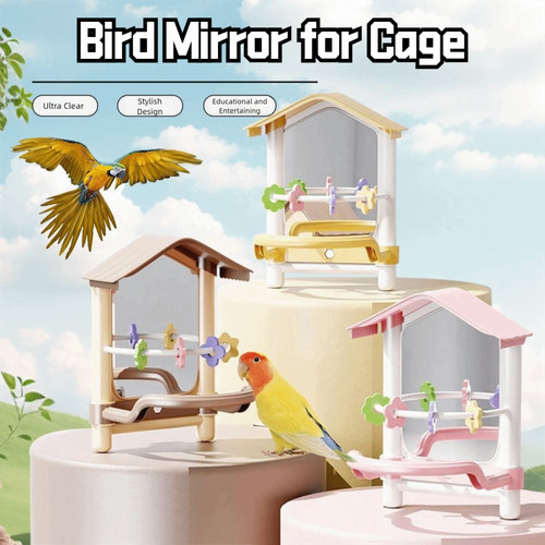 Bird mirror with perch - bird,