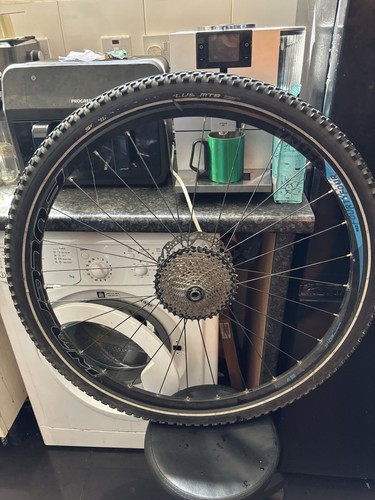 Mountain bike rear wheel - bike, 29