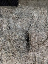 Small Hay Bales good for horses 