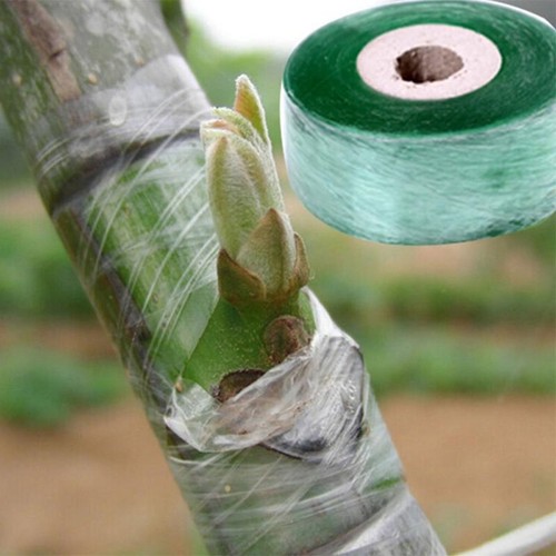 Eco friendly biodegradable - eco-friendly,