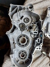 Quadzilla dinli 450 engine