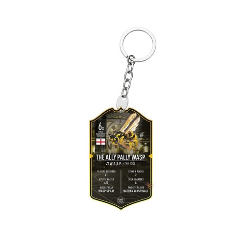Ultimate darts card - ultimate, keyring