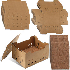 10 Set Poultry Baby Chick