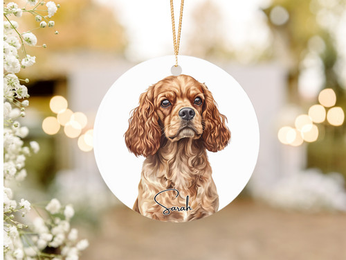Ruby cavalier king charles - cavalier,