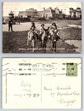 Donkeys on Common & Clarence