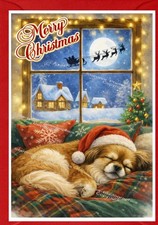 Tibetan Spaniel Dog A6 (4"x