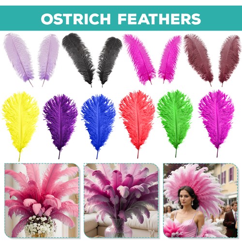 Large ostrich feathers for - large,