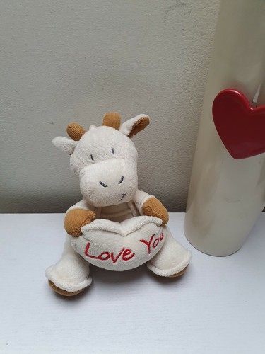 Cute baby giraffe soft - cute,