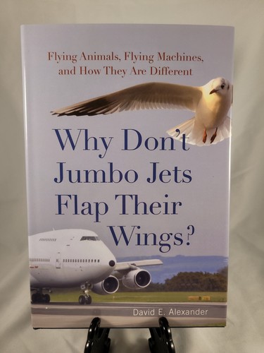 Why don jumbo jets flap - jumbo,
